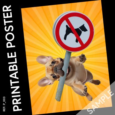 French bulldog rebels
