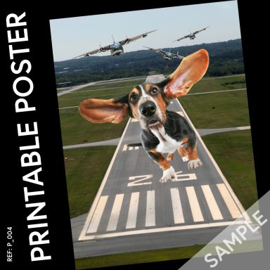 Bloodhound dog flying through the sky with huge ears.